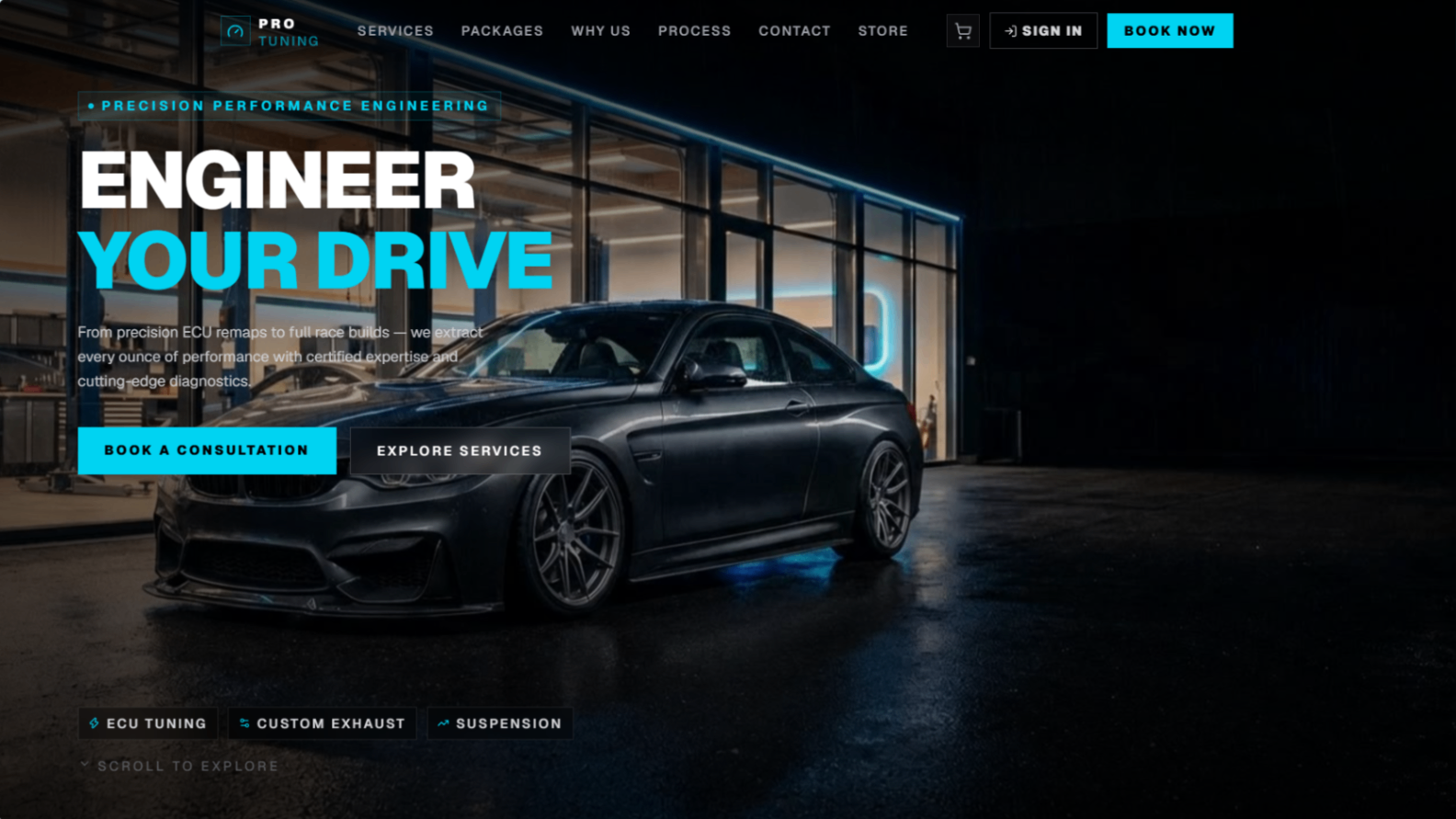 Pro Tuning - Engineering Performance, Built Around Your Drive